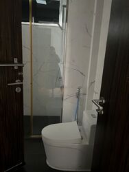 Dunearn Road (D11), Condominium #519130971